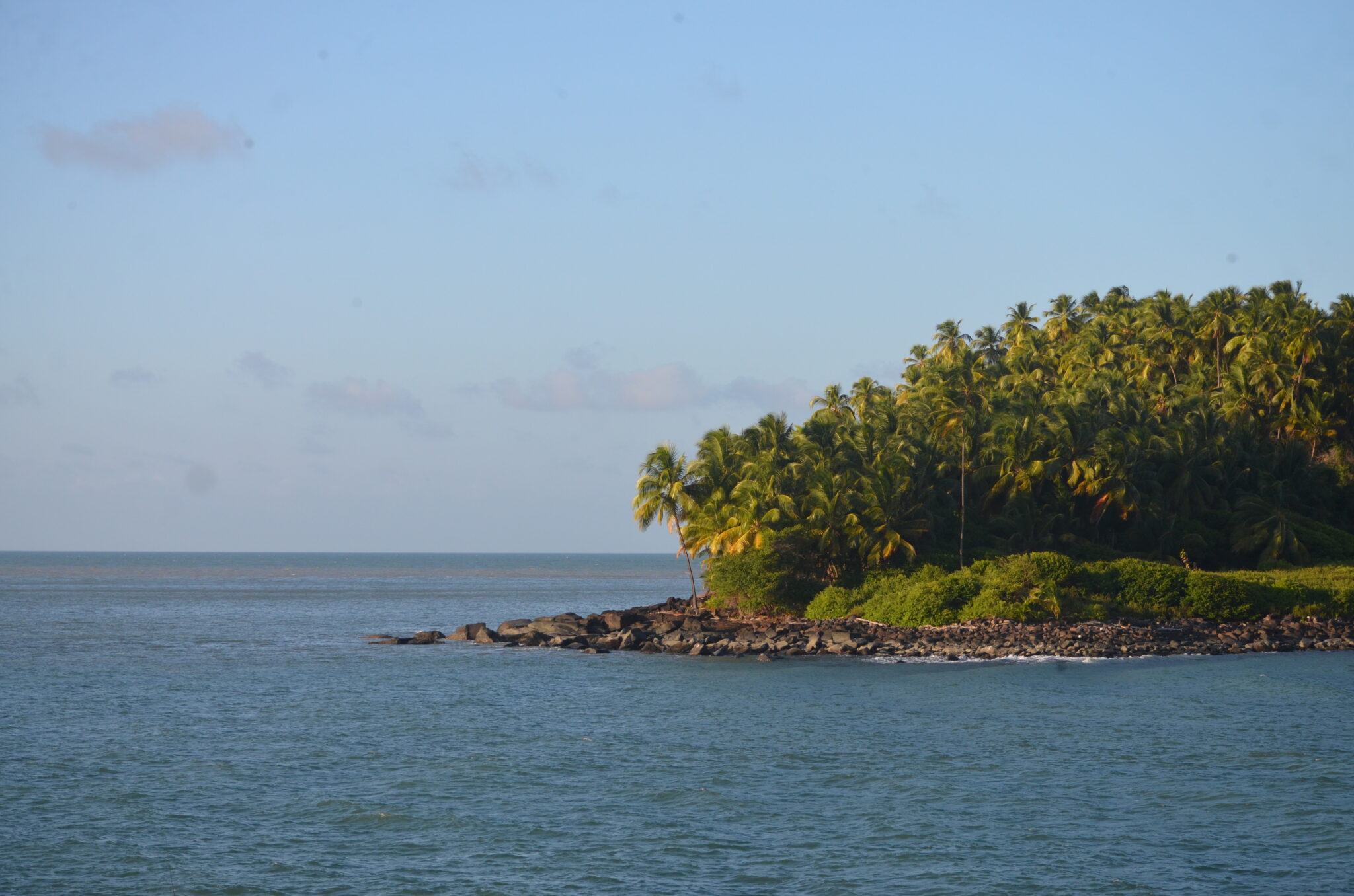 Nos actualités Guyane Nature Environnement